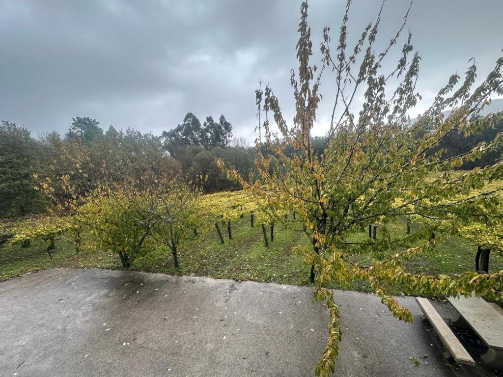 Hébergement de vacances Casa Cerezos *